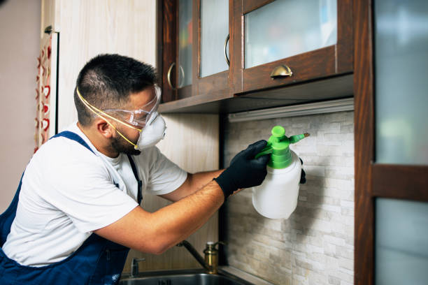 Best Best Pest Control Companies  in Fort Wayne, IN
